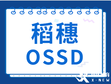 OSSD课程含金量高吗？对比其他国际课程有什么优势？