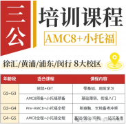 上海三公学校适合什么孩子读?一文解读详细要求