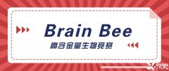 神经科学生必选的Brain Bee脑科学大赛详解，5-12年级均可参加