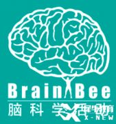 Brain bee脑科学竞赛考试规则全解，附Brainbee竞赛辅导班！