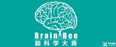 北上广深牛娃都在参加的brainbee脑科学竞赛是什么？普娃能参加吗？