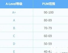 上海全日制a-level培训班介绍！