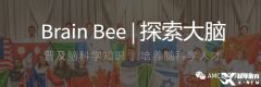 brainbee竞赛有必要参加辅导吗？brainbee脑科学培训哪里有？