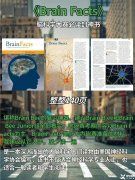 Brainbee脑科学大赛是什么？犀牛Brainbee竞赛培训班还在招生中……