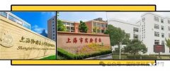 上海三公学校是哪三所？三公备考培训课程介绍！