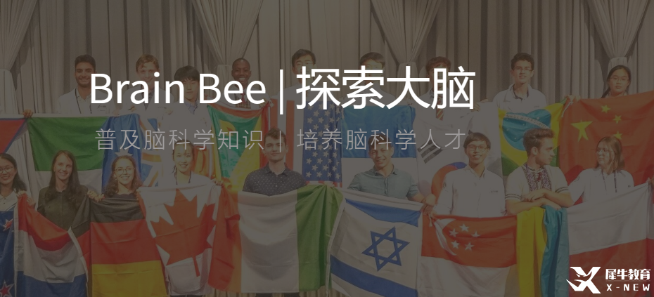 国际竞赛