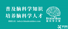 2025BrainBee脑科学大赛开始报名！BrainBee报名考试时间/报名方式/考试大纲奉上！