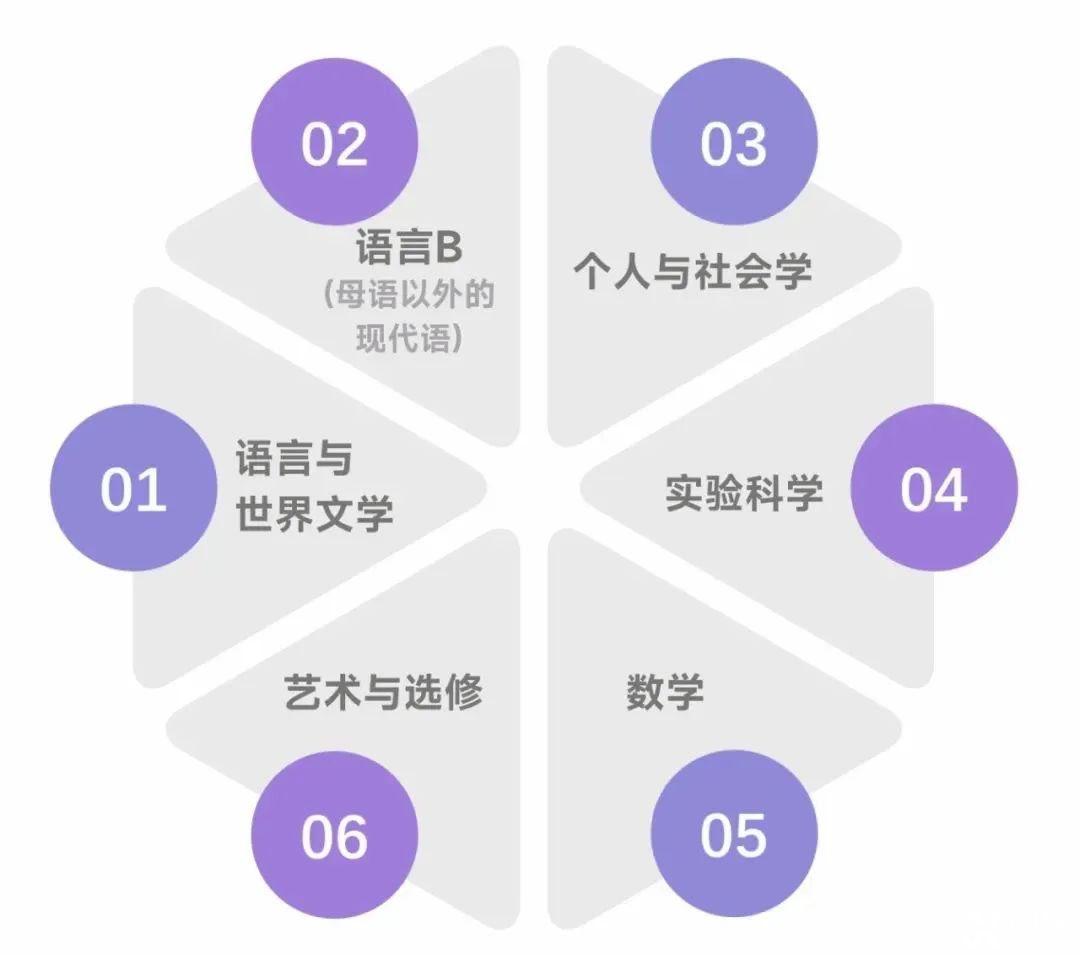 国际学校春秋招必看！含金量高，难度超模，IB课程该不该选？