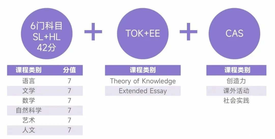 国际学校春秋招必看！含金量高，难度超模，IB课程该不该选？