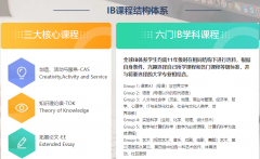 IBDP选课如何选？国际课程专业老师1V1建议指导！