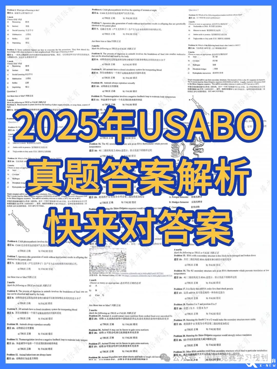 教育省考申论科普攻略小红书配图(3).jpg
