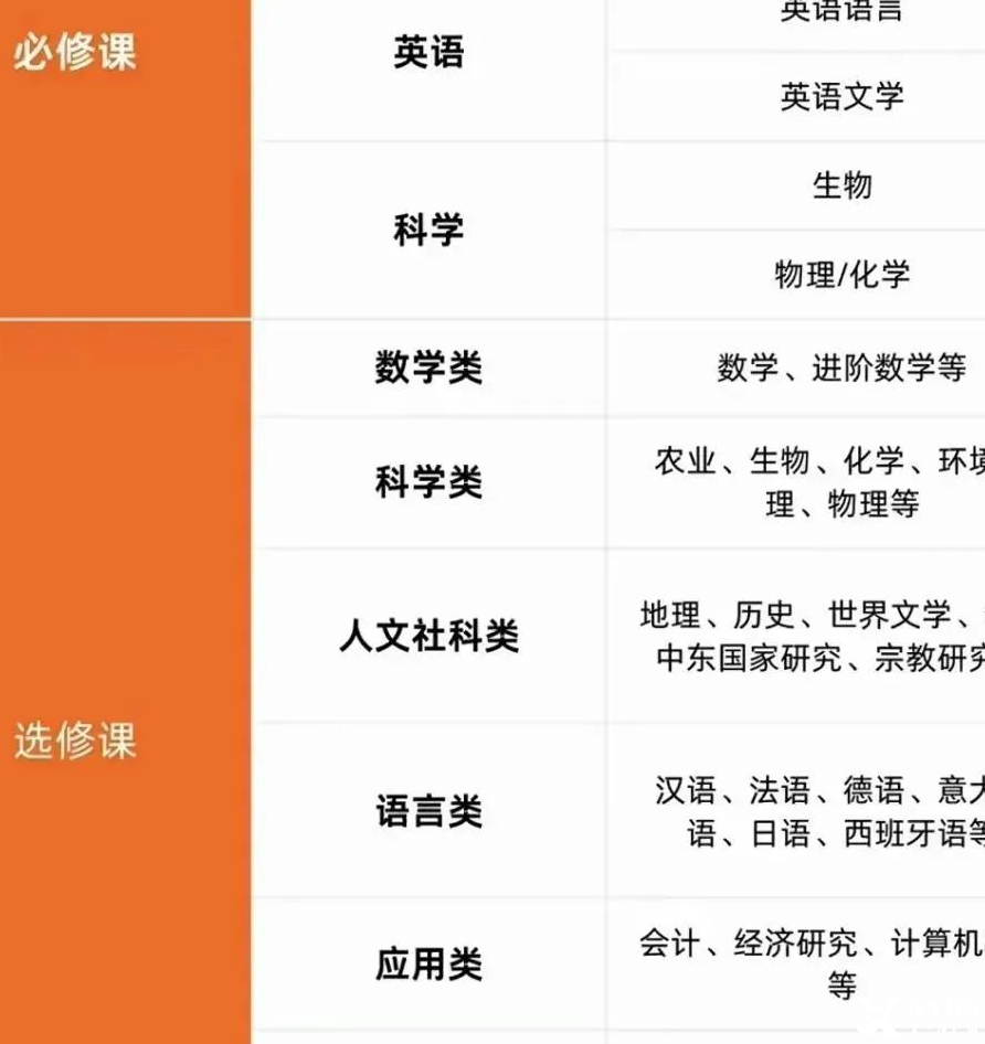 IGCSE选课攻略：IGCSE阶段该如何进行选课？国际学校小白快收藏