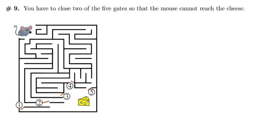 全球630万学生参与的袋鼠数学竞赛有用吗？附袋鼠竞赛暑期培训课表