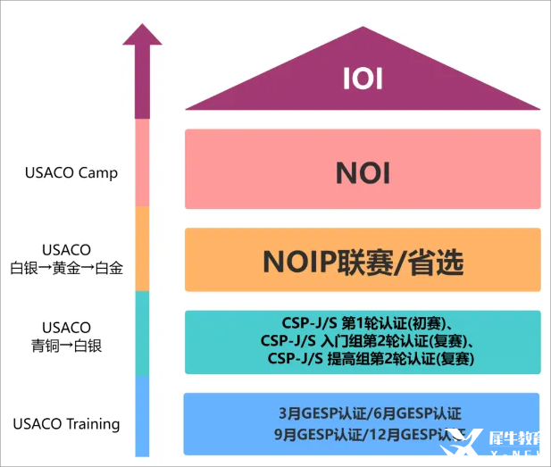 【一文讲清USACO竞赛】国际生必看的计算机奥赛USACO深度解析！机构USACO暑期集训营助你冲刺名校!