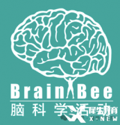 Brain Bee脑科学大赛是什么?为什么推荐低龄学生参加？考察内容与备考方法