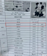 袋鼠数学竞赛一文讲清楚！袋鼠数学竞赛适合几年级？