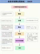 USACO竞赛对比NOIP有什么不同？附USACO竞赛培训班！