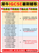 中考后转轨国际学校的学生建议：暑期学IGCSE+雅思，开学才能快人一步！
