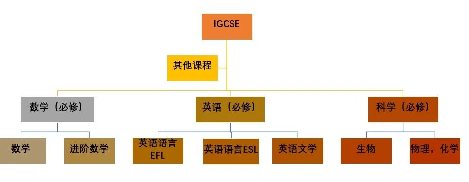 课程结构.png
