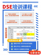 港八大选择DSE还是ALEVEL？DSE培训课程！