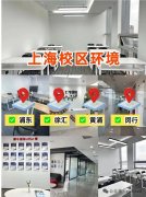 上海家长为什么热衷于小托福？上海小托福培训机构