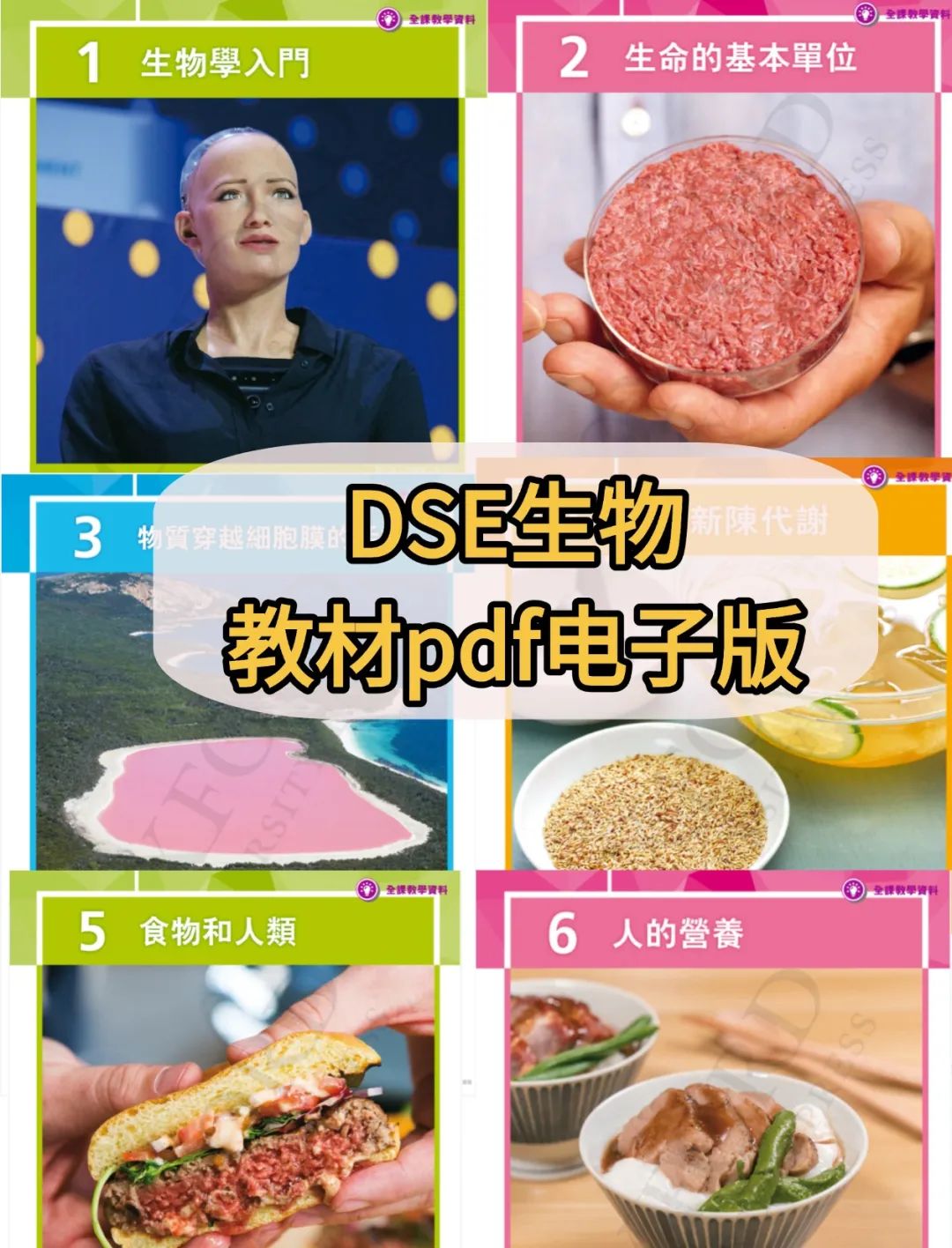 稿定设计-1.jpg