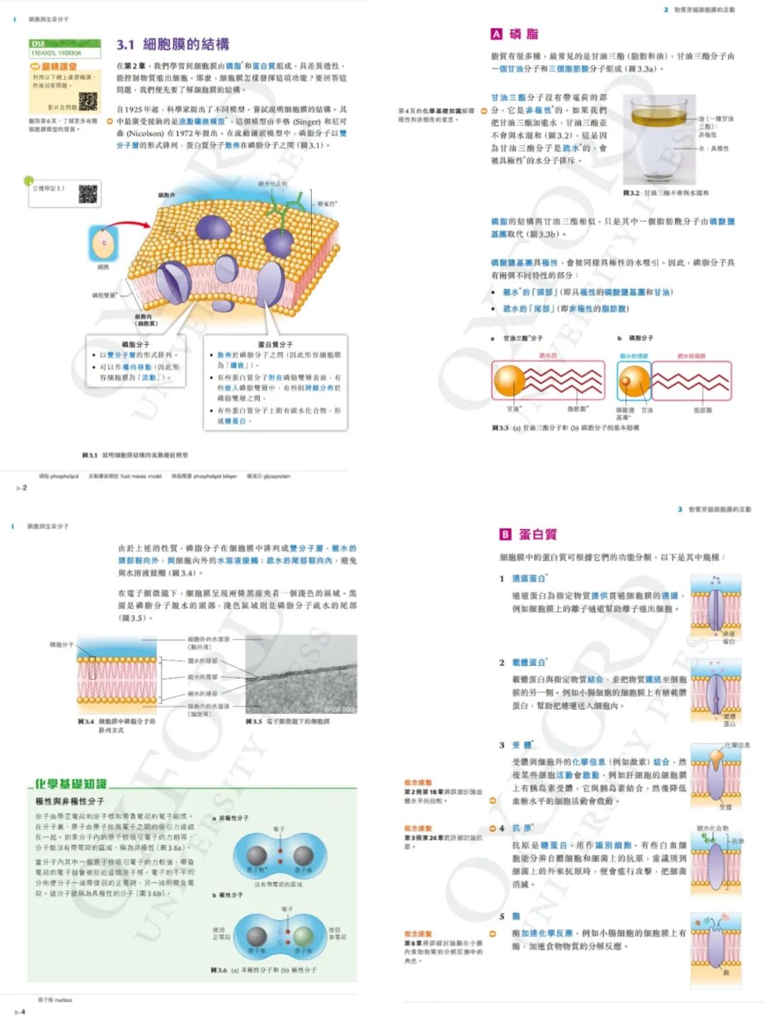 稿定设计-4.jpg