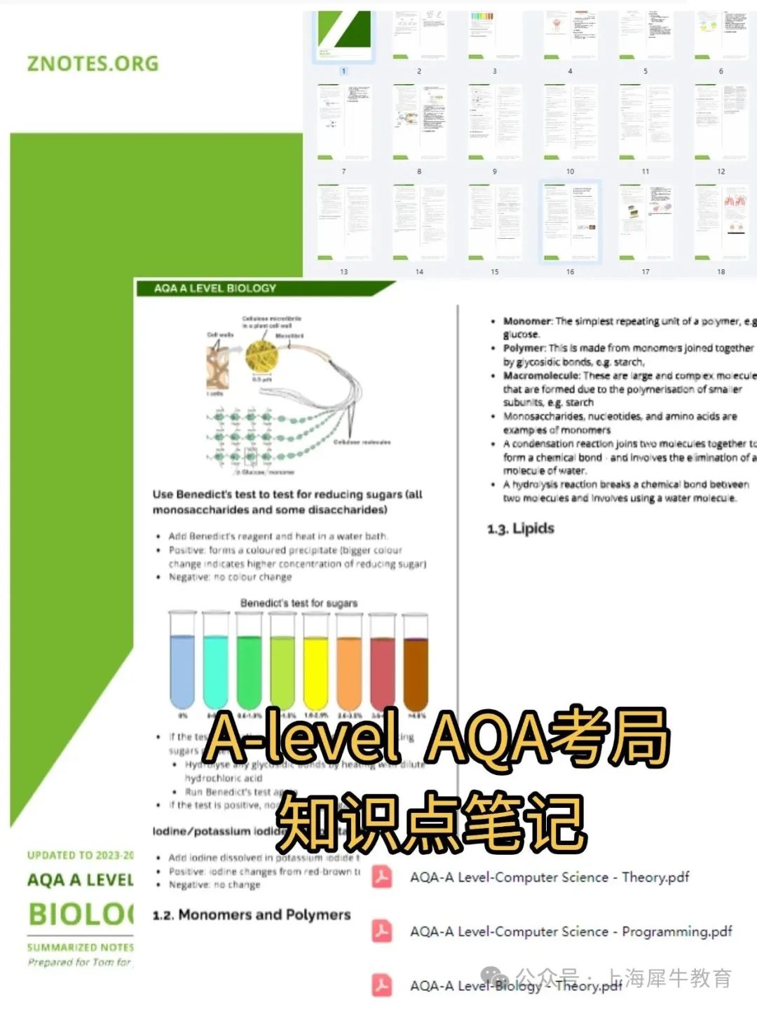 稿定设计-4.jpg