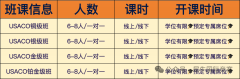 USACO计算机竞赛冲刺培训，全方位课程服务带你冲奖！