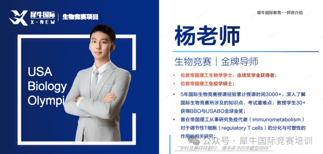 ce92c87cc4fe86f319dbd00c3406135e.png