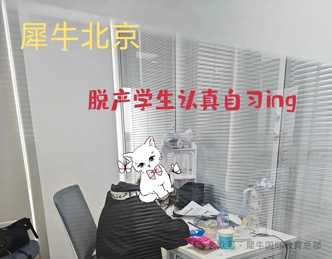 2395f9748db9d228ec669b93c1c47690.jpg