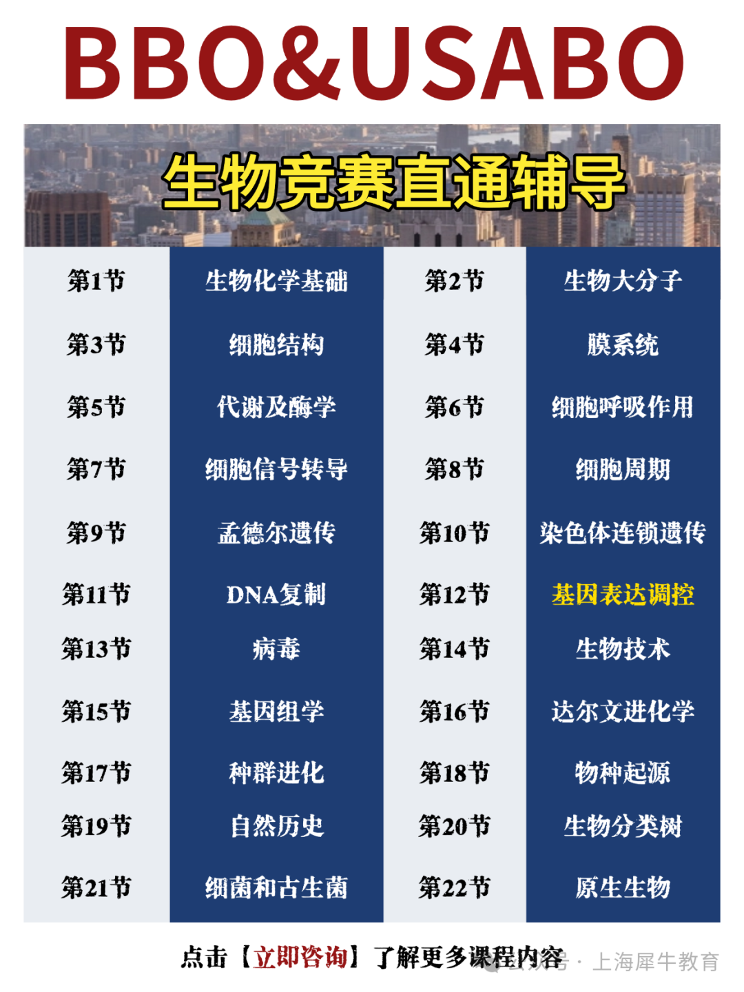 教育培训高校招生简章宣传手机海报.png