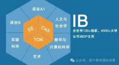 IB课程有哪些优势？哪些学生适合IB课程？