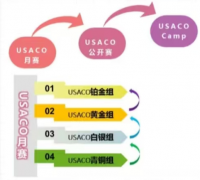 打破信息差,USACO竞赛新规则速看!