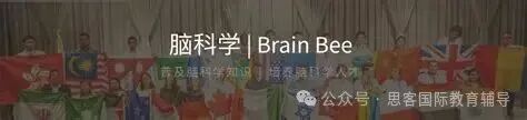 生化专业必须参加的竞赛——Brain Bee脑科学竞赛！