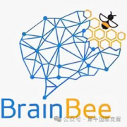 BBO/USABO和Brainbee三大国际生物竞赛怎么选?