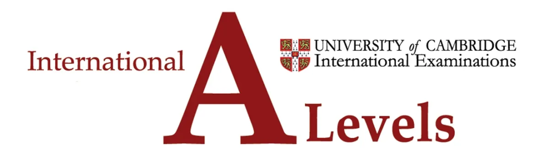 免费 调查电子表格特写照片 素材图片