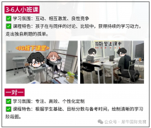 犀牛IGCSE寒假班课表已出！覆盖数学/物理/化学/科学/经济/计算机……