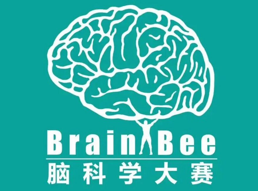 一篇看懂主流国际生物竞赛有哪些！机构USABO/BBO生物竞赛全程班、集训夏令营全覆盖~