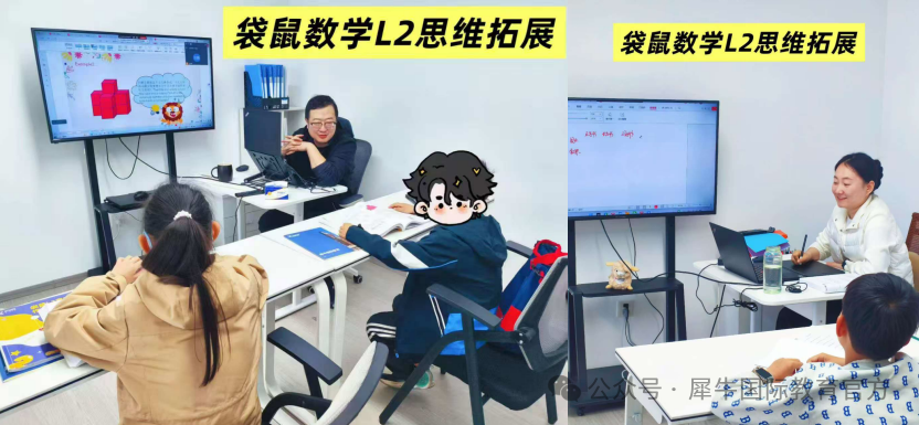 小学段数学启蒙竞赛：AMC8VS袋鼠竞赛怎么选？