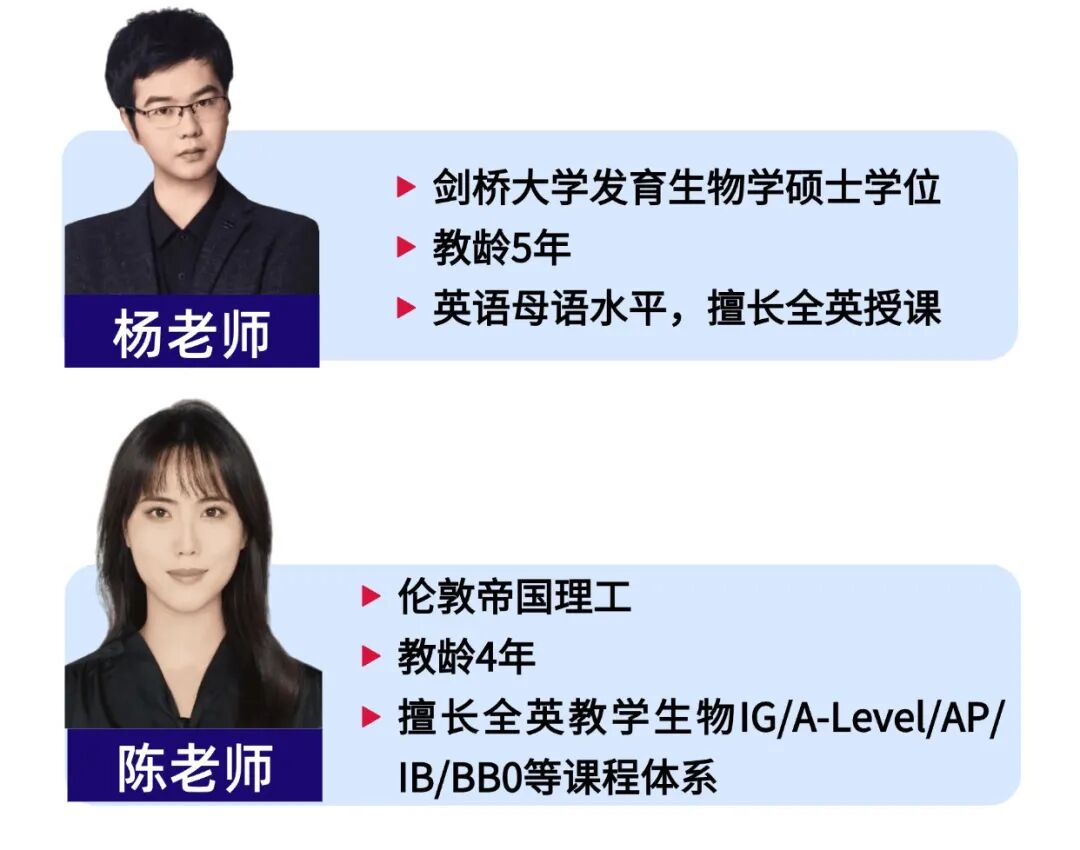 T260206219878-原始文件PSD - 副本 (2).jpg
