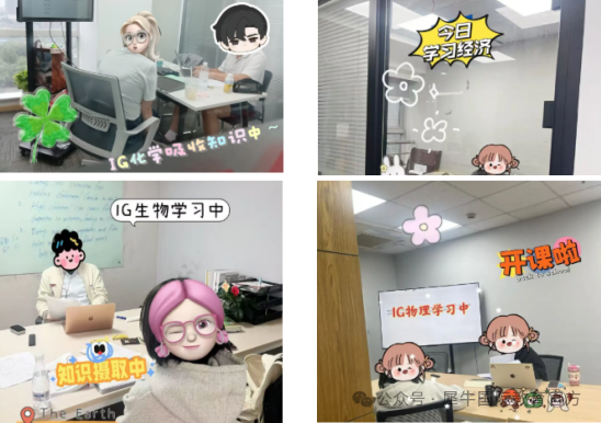 南京线下IGCSE培训班哪里好？IG培训特色有哪些？