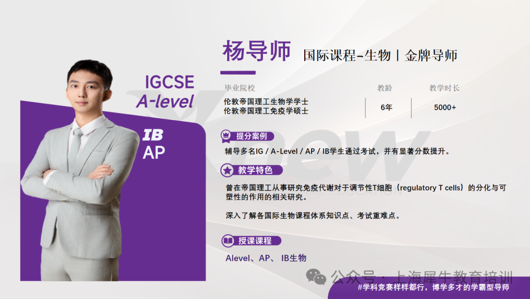 e2eeb20d008c75e67bf5609524e09f62.png