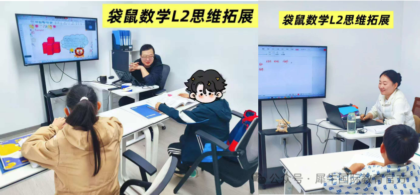 2027袋鼠竞赛备考课程+报名，1-4年级可参加