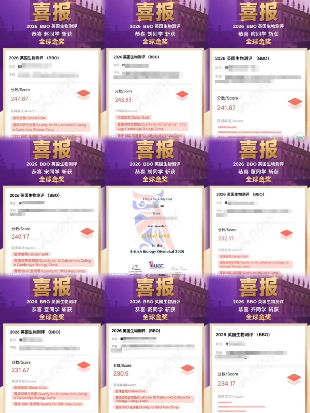 bbo喜报.jpg