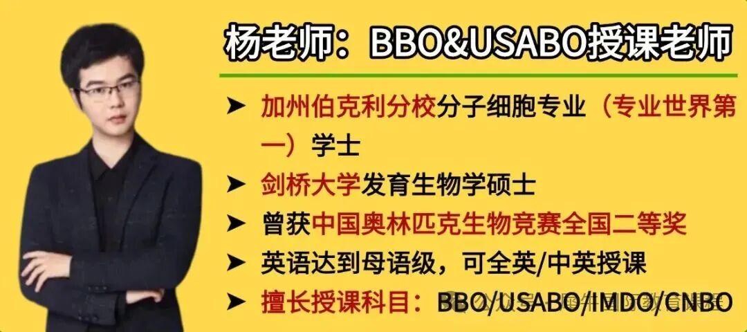 55555555-1 (2).jpg