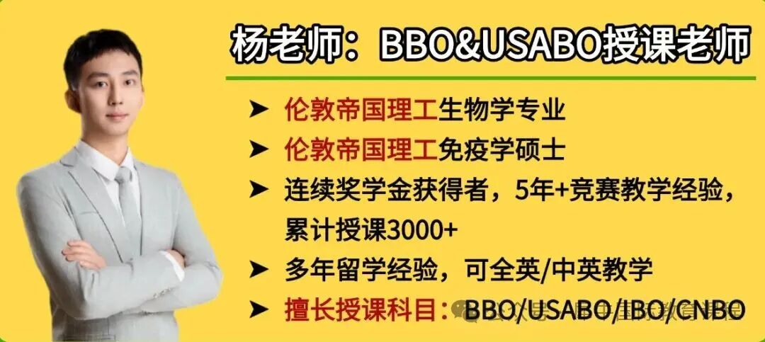 55555555-1 (3).jpg
