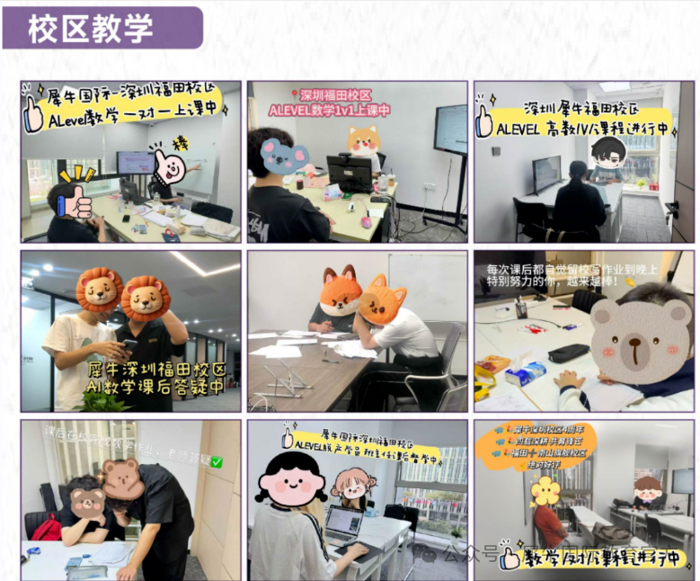 坐标上海，终于给孩子找到靠谱的ALEVEL培训课程，7大校区就近选