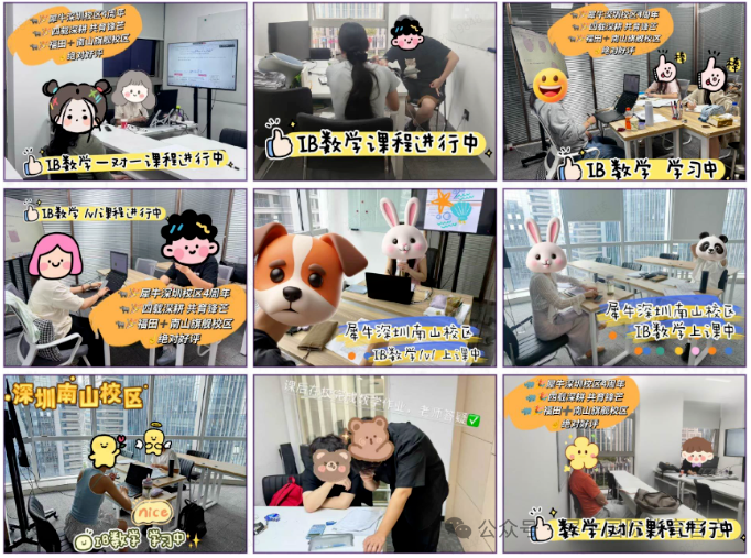 犀牛IB培训课程：覆盖PYP/MYP/IBDP全阶段，全国30+校区就近学