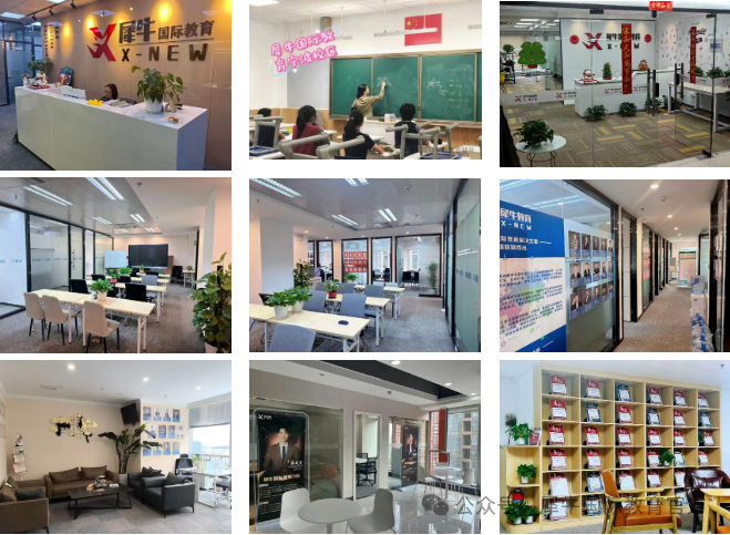 宁波镇海/效实/赫德学子ALevel课程组班，线上线下同步